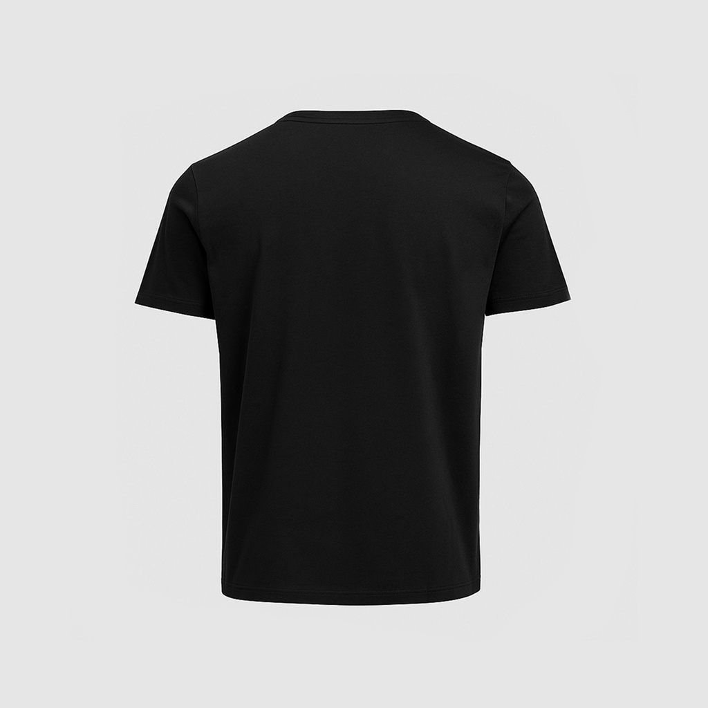 Erkek Basic T-Shirt [830009]